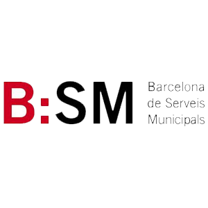 Logo de la empresa BSM